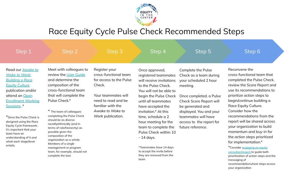 Race Equity Cycle Pulse Check Recommended Steps