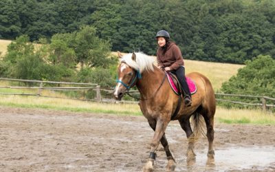 Study of Children Riding Horses Suggests Stress is Helpful in Improving Behavior