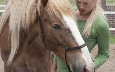 The Journey Back: A Case Study Highlighting One Woman’s Experience Overcoming Traumatic Abuse Using Natural Lifemanship