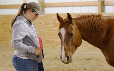 Six Signs Your Horse May Be Dissociating or Submitting Rather Than Choosing to Cooperate