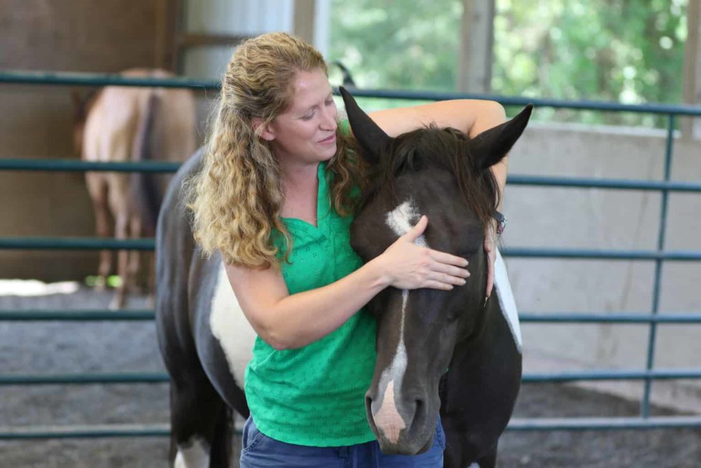 Do Horses Seek Leaders or Rewarding Connections?