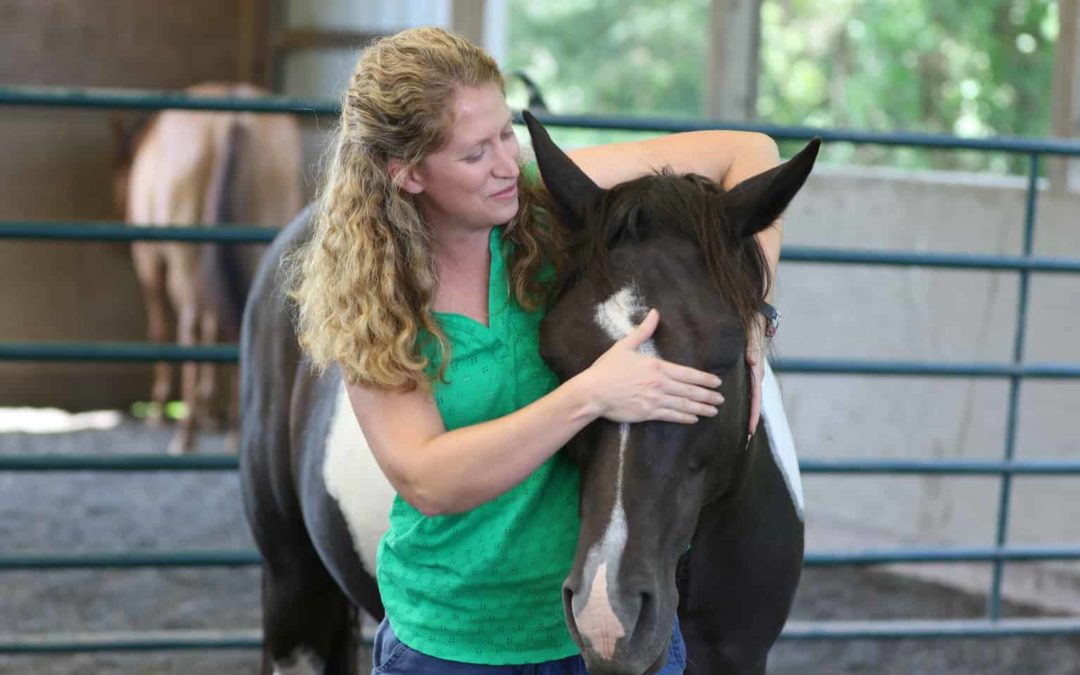 Do Horses Seek Leaders or Rewarding Connections?