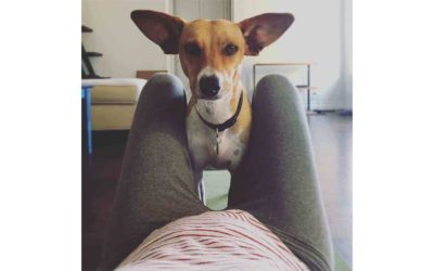What I Learned from My Dog with Attachment Trauma