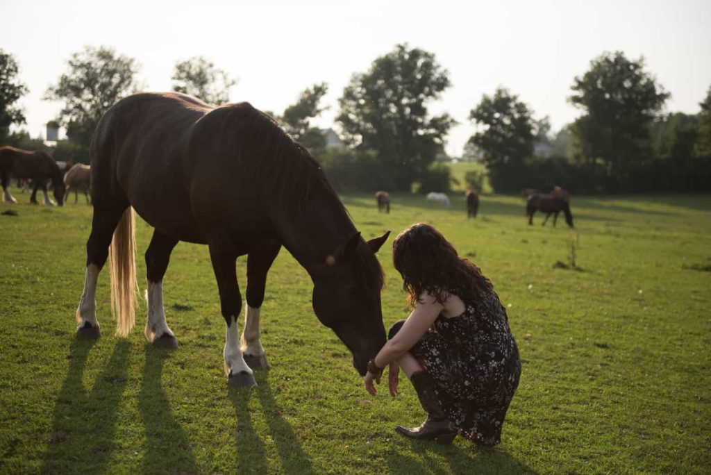 Can Animals Consent?
