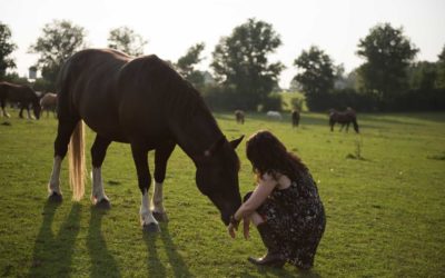 Can Animals Consent?