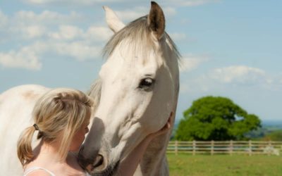 Genuine Connection in My Relationships: A Personal Experience with Natural Lifemanship