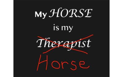 My Horse is NOT My Therapist