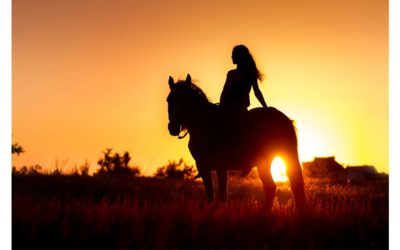 The Ride of Your Life, How Does One Get That?