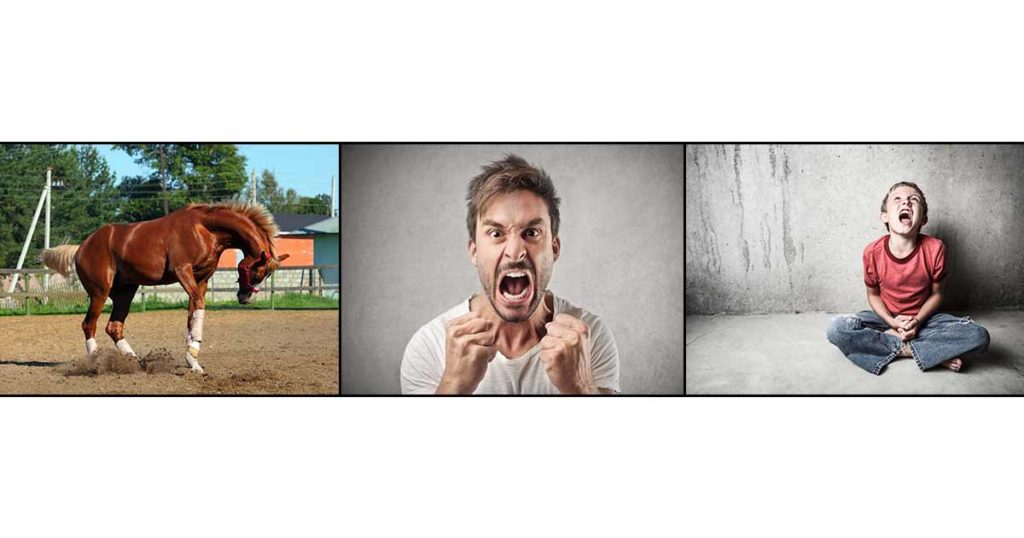 Is There a Difference Between a Tantrum and a Meltdown?