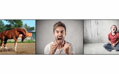 Is There a Difference Between a Tantrum and a Meltdown?
