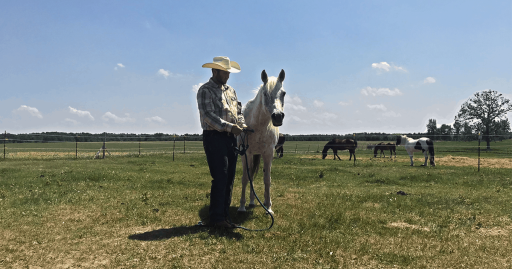 What If Our Equine Partner Does Not Consent to the Session?