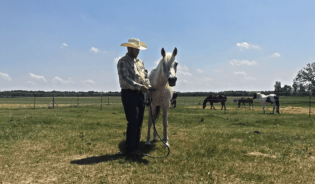 What If Our Equine Partner Does Not Consent to the Session?
