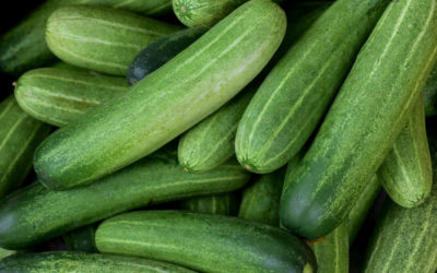 Cucumbers and Toilet Paper in an Age of Anxiety