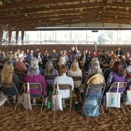 audience-square
