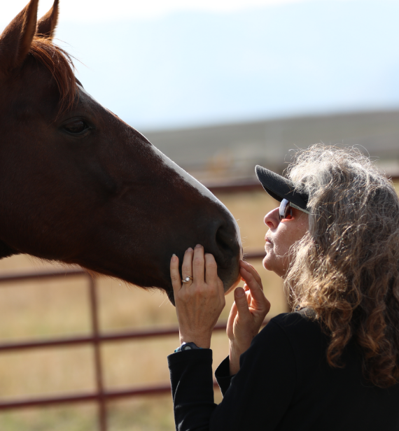 horse and lady