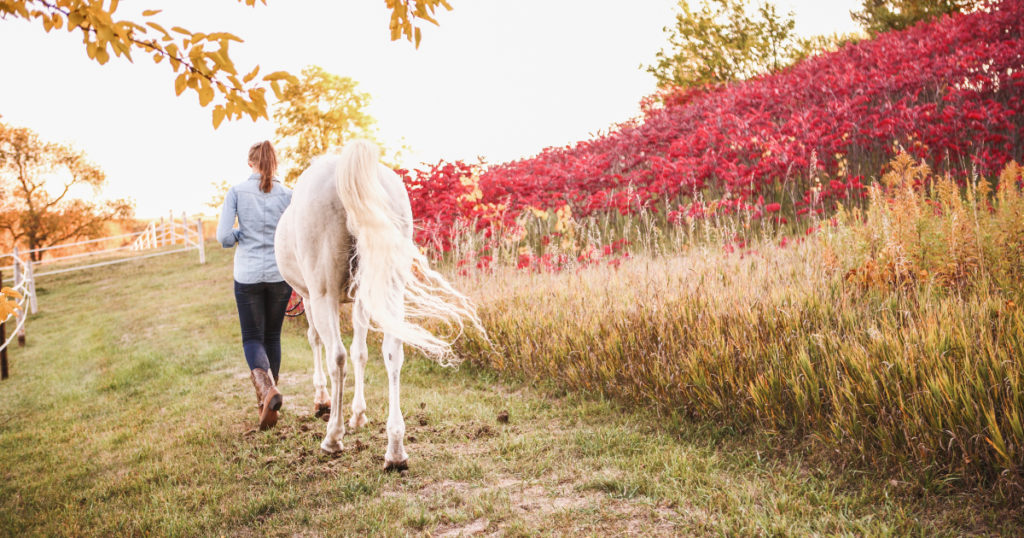 Paving a Path to Embodiment