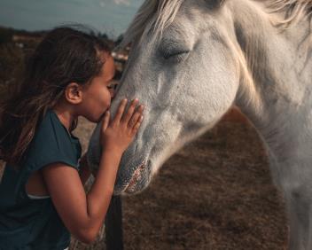 Trauma-informed Learning Trauma-informed Learning
