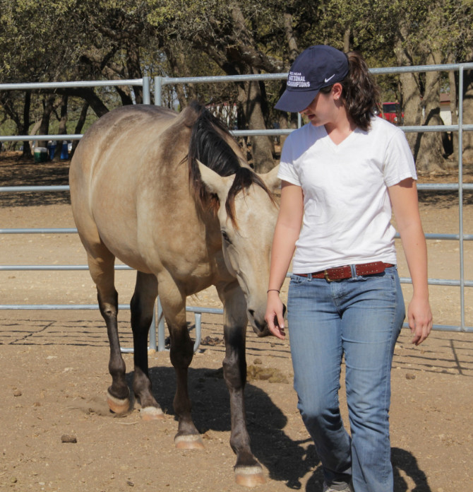ch-desc Connected Horsemanship
