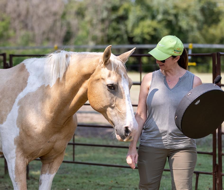 horse-trainer Horse Trainer