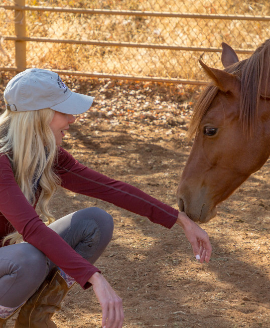 lady-and-horse Lady and Horse