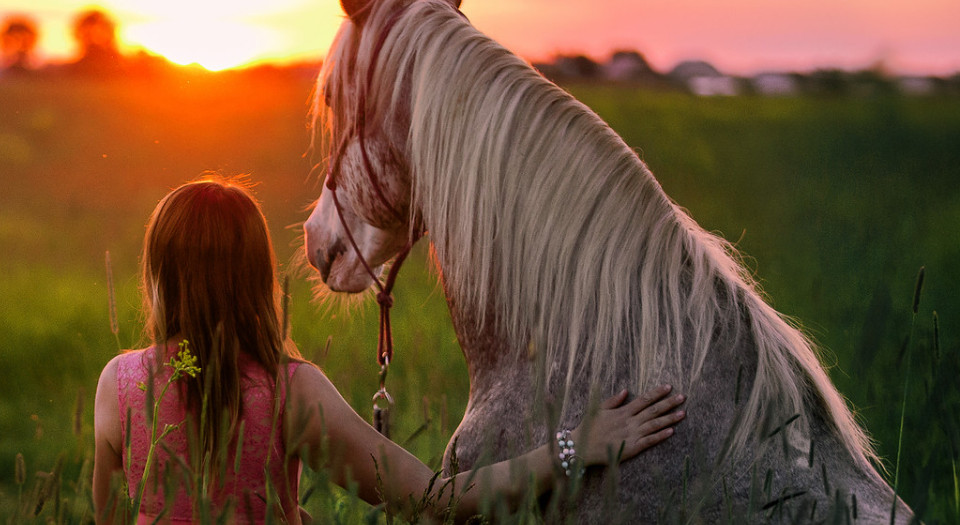 spiritual-connection-banner-half
