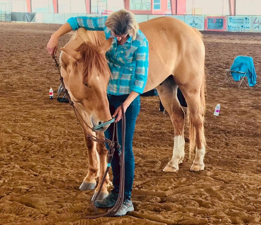 Connected Horsemanship Connected Horsemanship