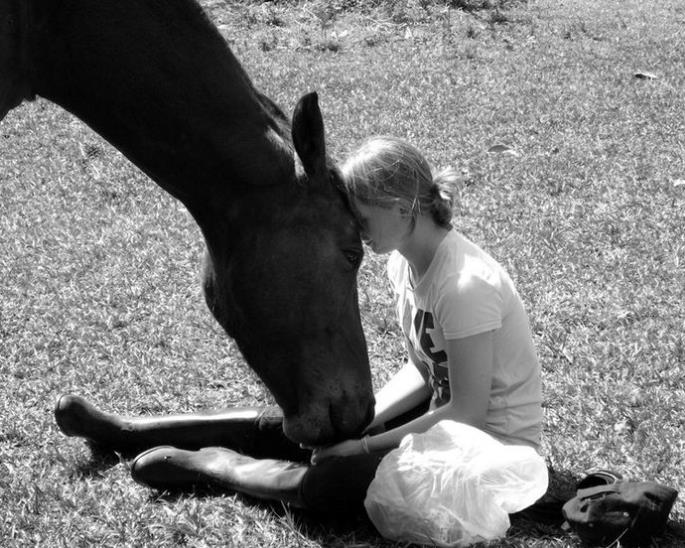 Horse Grayscale Horse Grayscale