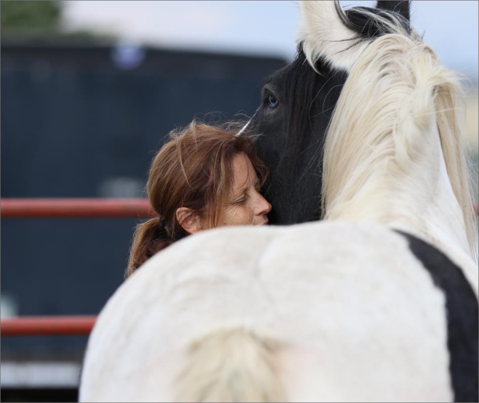 Horse and Trainer Horse and Trainer