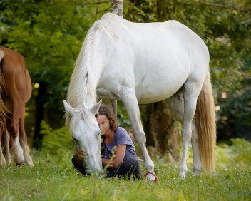 Connected Horsemanship