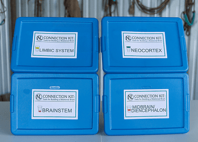 neocortex Brain Boxes